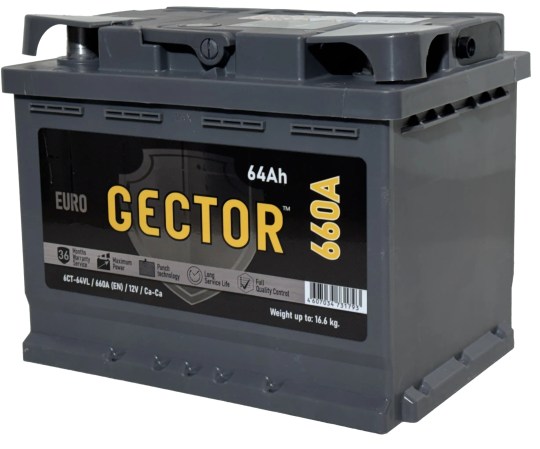 GECTOR 64 2